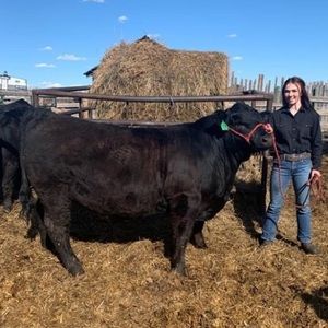 Meet your Posher, Cassidy